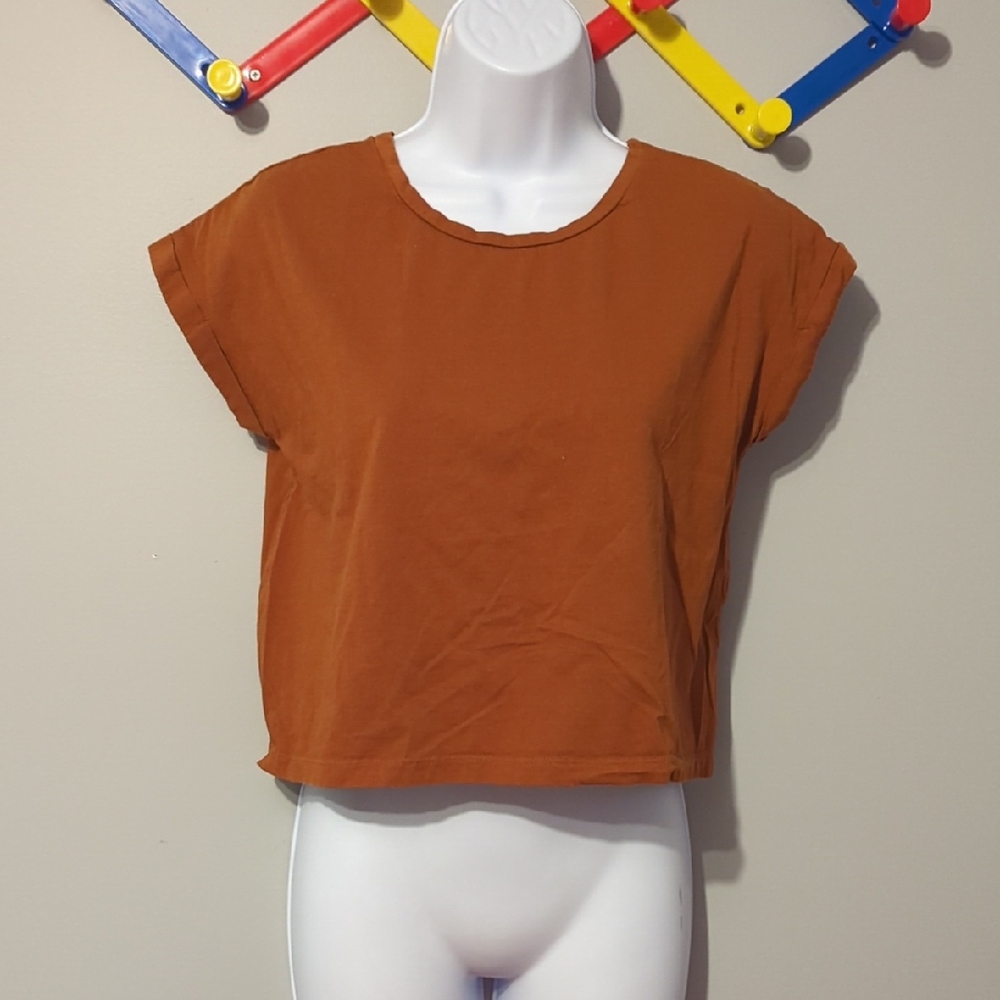 Zara Rust Brown Crop Top